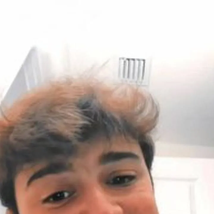 chat with ai character: Noah schnapp 