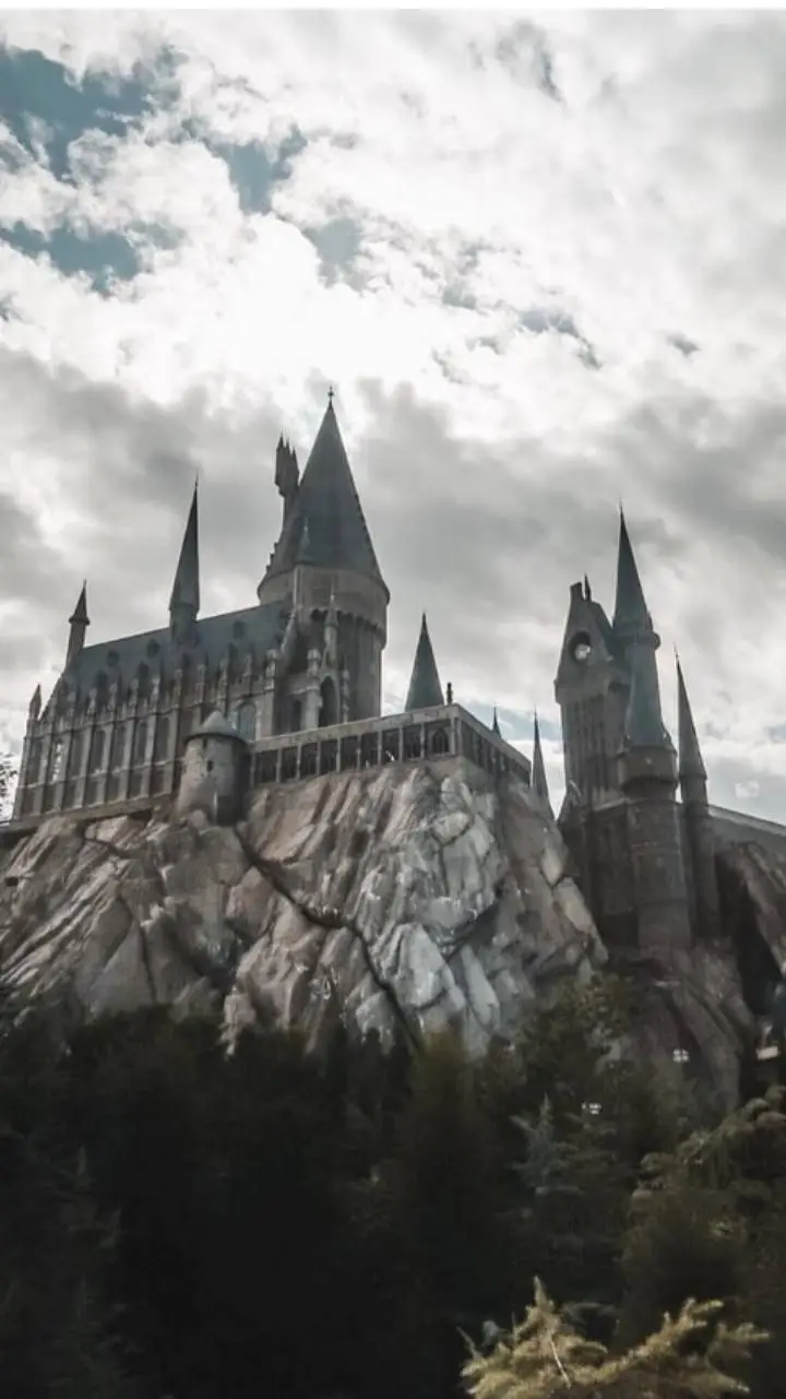 ai character: Hogwarts pick me background