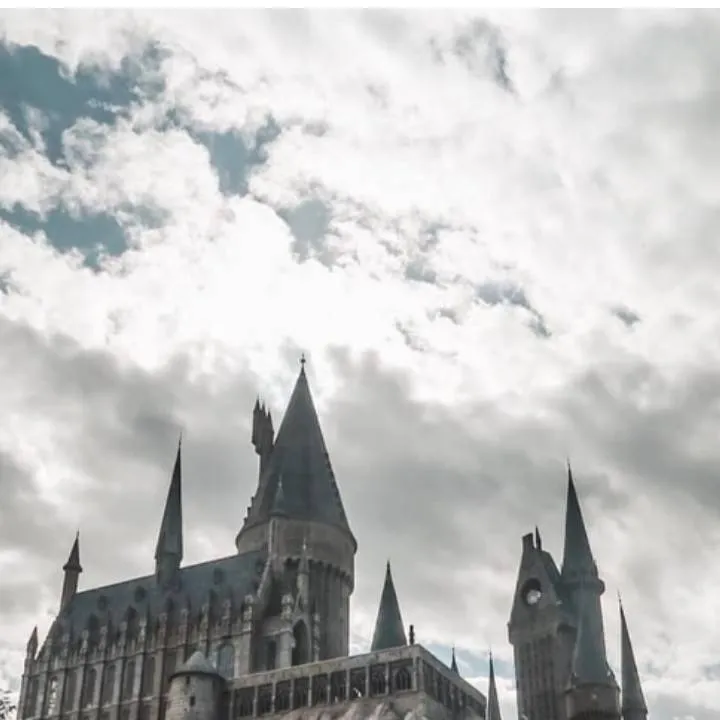 chat with ai character: Hogwarts pick me