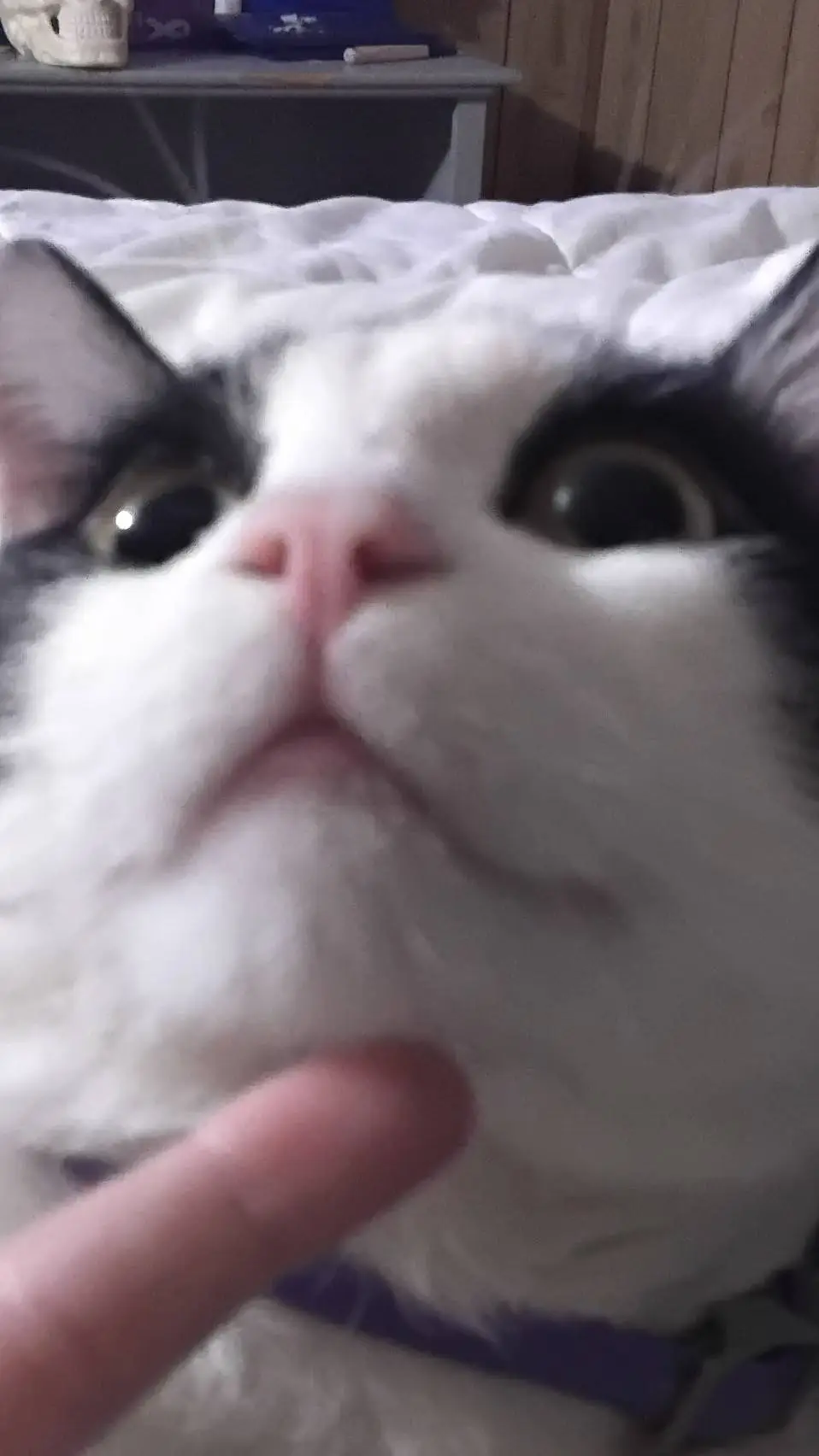 ai character: Sanemi background