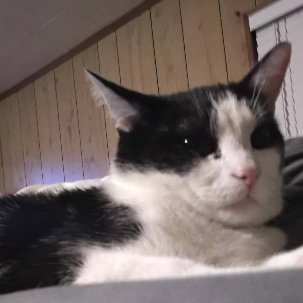 chat with ai character: Katsuki Bakugo 