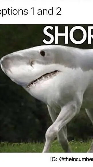 ai character: ninjago pickme background