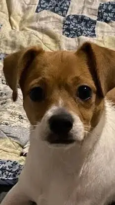 ai character: meme stealing  background