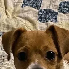 chat with ai character: meme stealing 