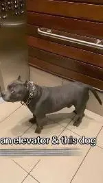 ai character: Suggest things 🤑 background