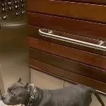 chat with ai character: Suggest things 🤑