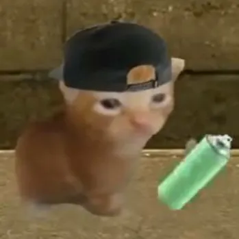 chat with ai character: Cat