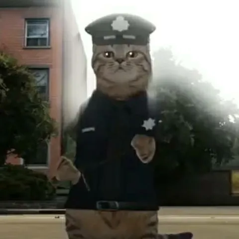 chat with ai character: Полиция cat