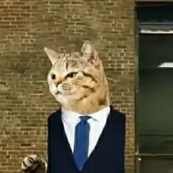 chat with ai character: man cat