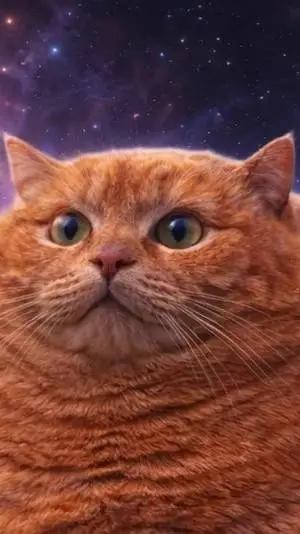 ai character: BATTLE OF CAT background