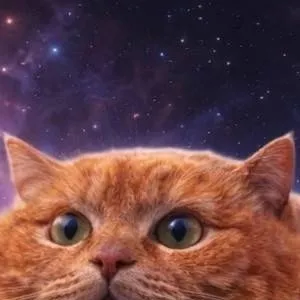 chat with ai character: BATTLE OF CAT