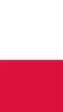 ai character: Polska background