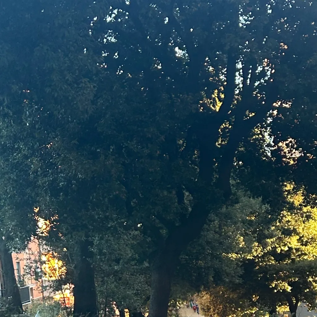 chat with ai character: Greta,Sofia,GretaL