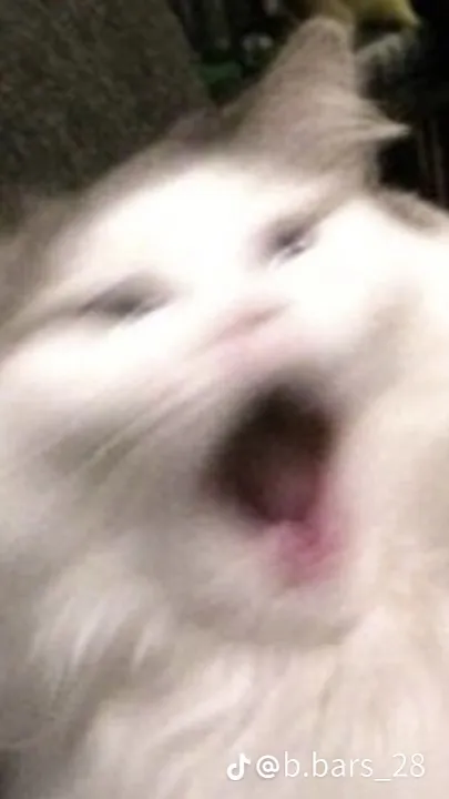 ai character: Chance background