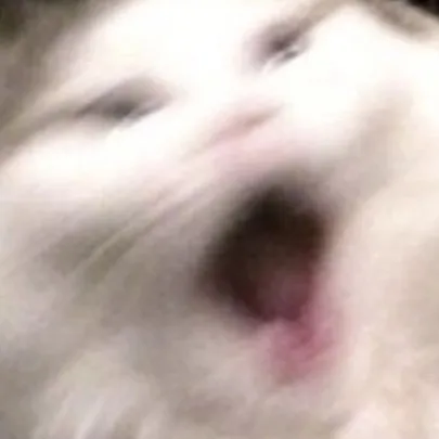 chat with ai character: Chance