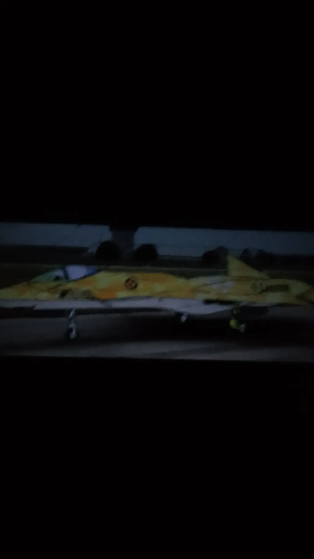 ai character: plane vore background