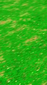 ai character: . background