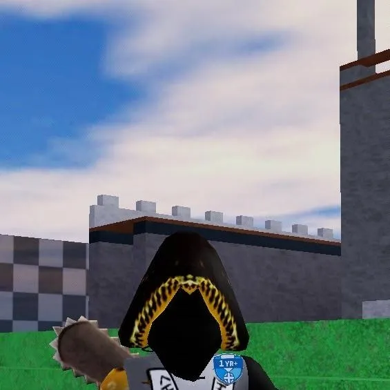 chat with ai character: False telamon 