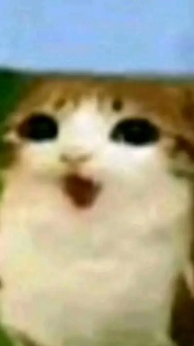 ai character: meowl background