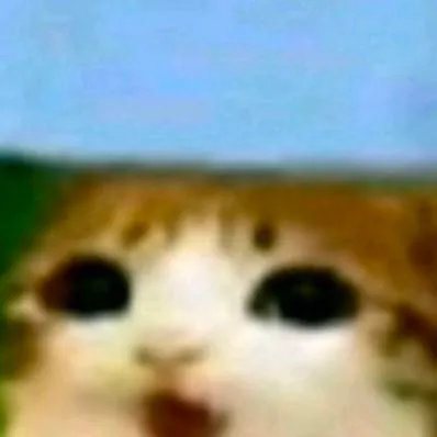 chat with ai character: meowl