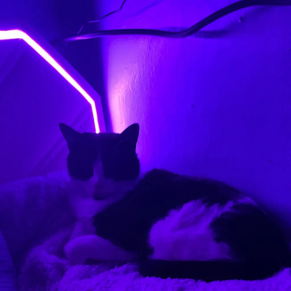 chat with ai character: Elliot snapped 