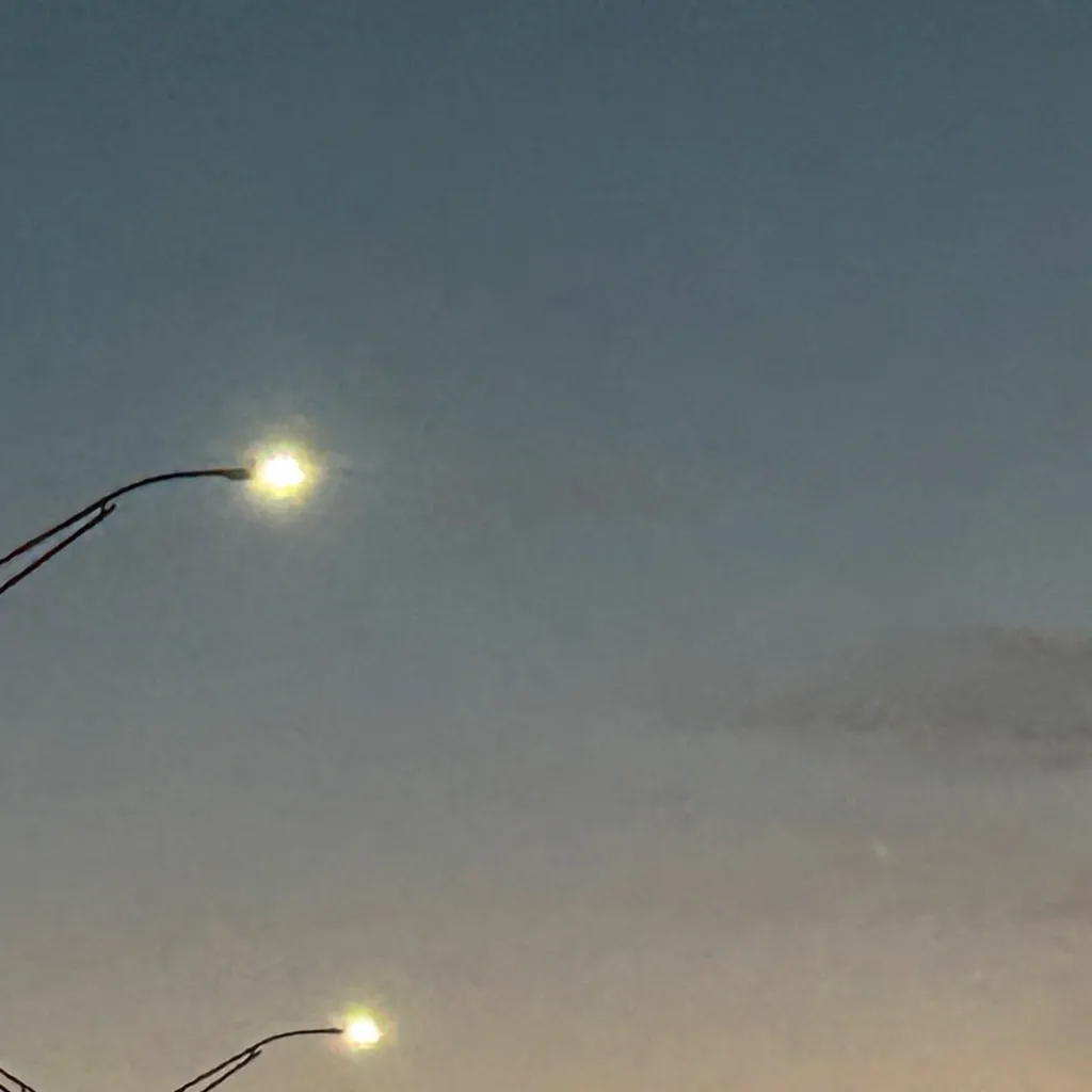 chat with ai character: Chester