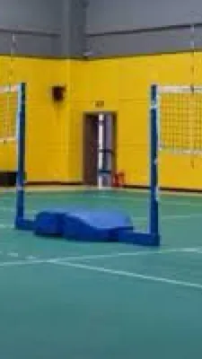 ai character: Fpe Volleyball background