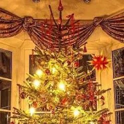 chat with ai character: Fpe Christmas 2