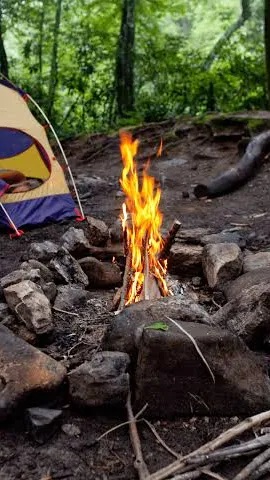 ai character: Teacher Camping background