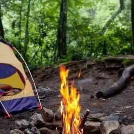chat with ai character: Teacher Camping