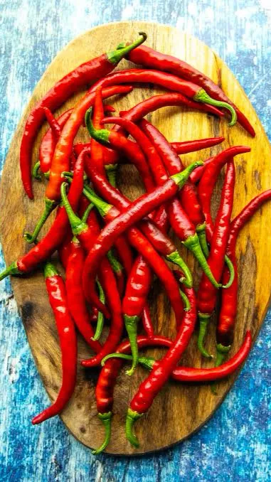ai character: Fpe Chili pepper background