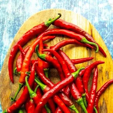 chat with ai character: Fpe Chili pepper
