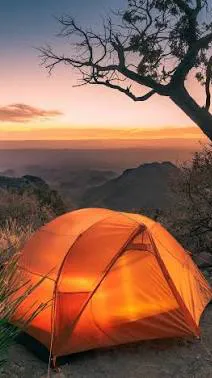 ai character: Fpe Girl Camping background