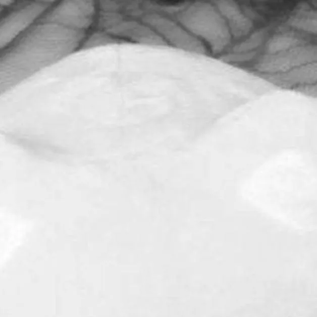 chat with ai character: Me. ^^