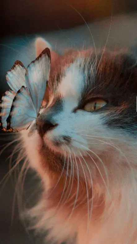 ai character: starlight background