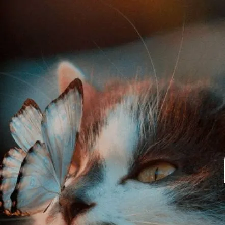 chat with ai character: starlight