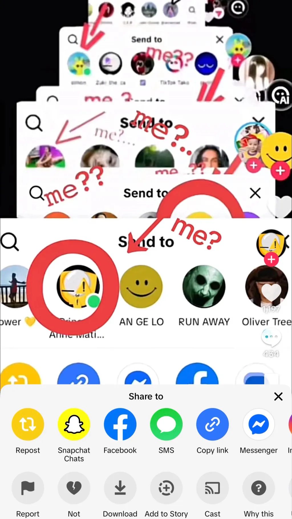 ai character: Shrimpo￼ background