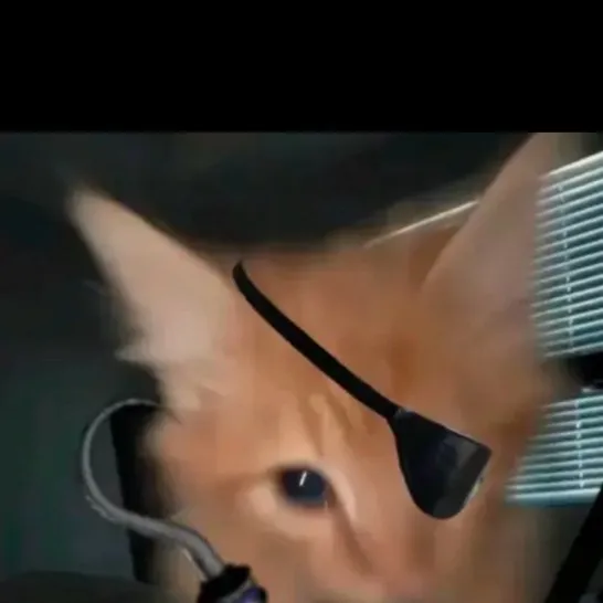 chat with ai character: Shrimpo￼