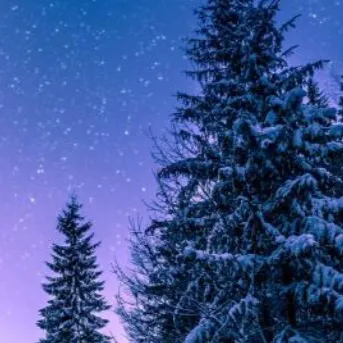 chat with ai character: MHA TRUTH OR DARE