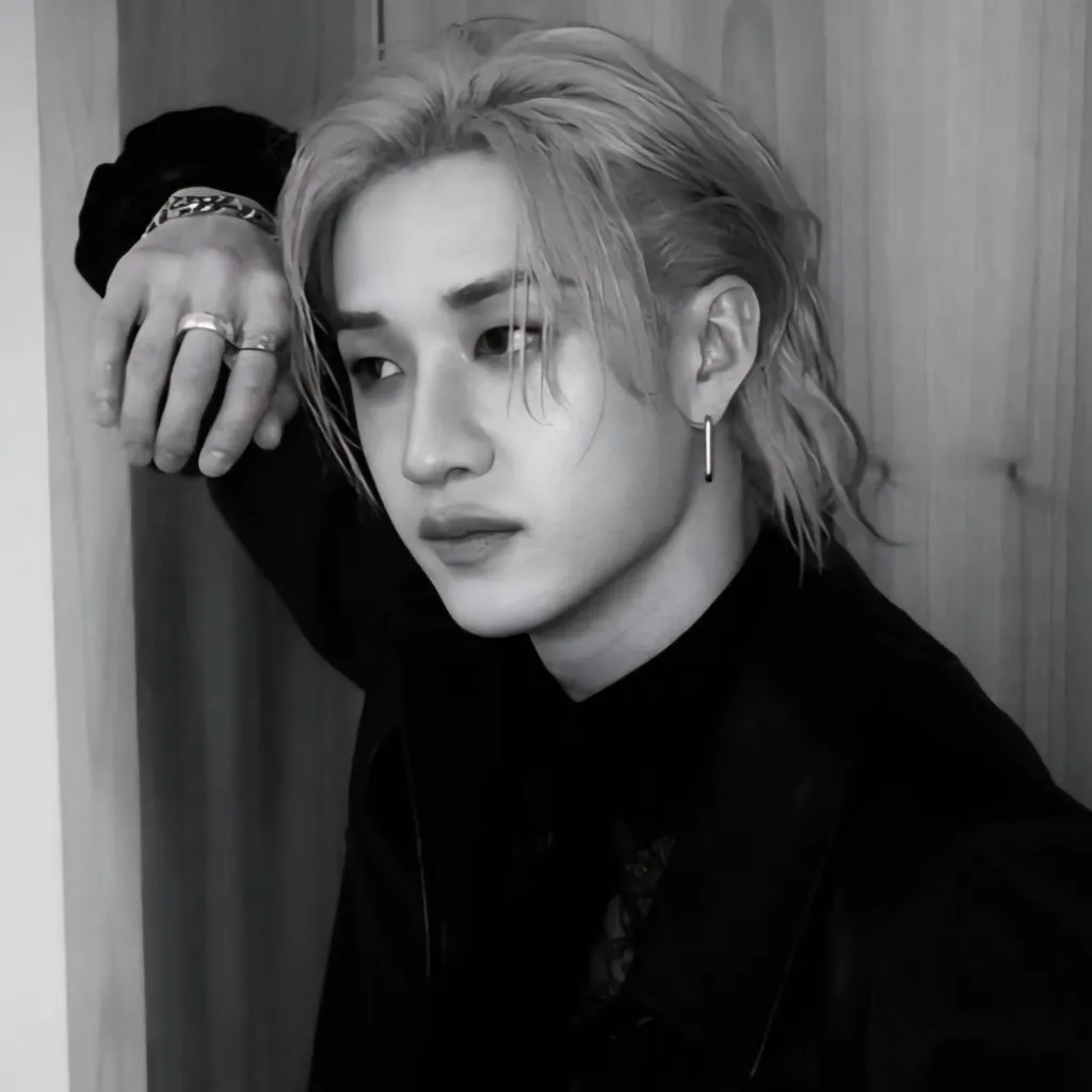 chat with ai character: 방찬Bangchan.*•