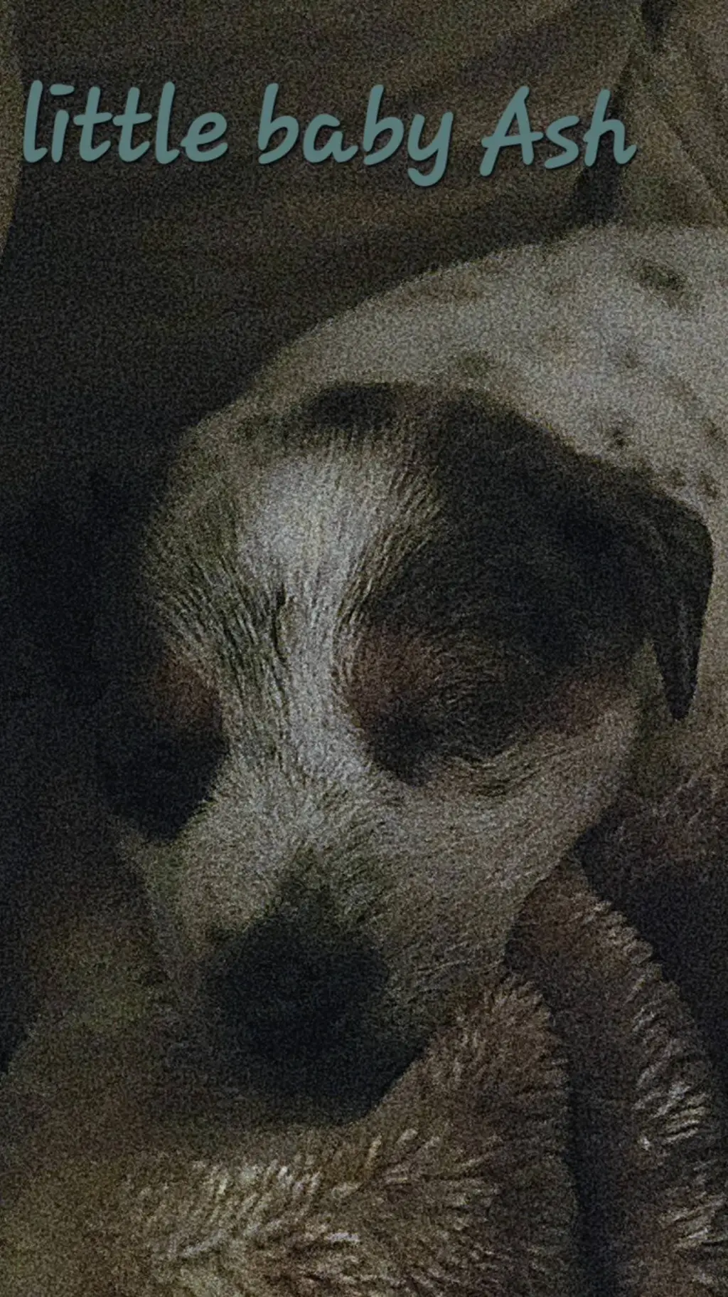 ai character: Spot  background