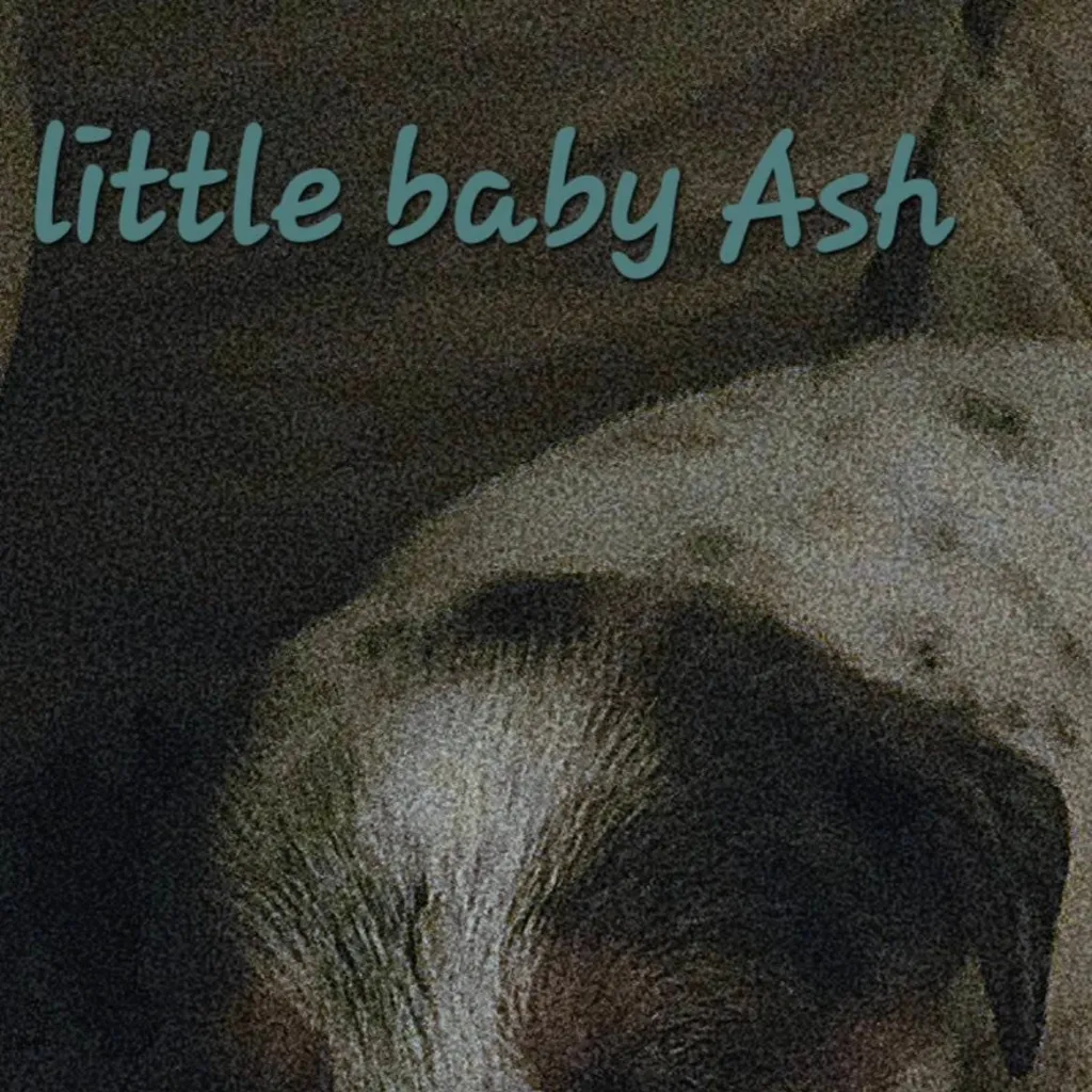 chat with ai character: Spot 