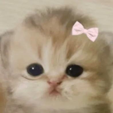 chat with ai character: Cutie