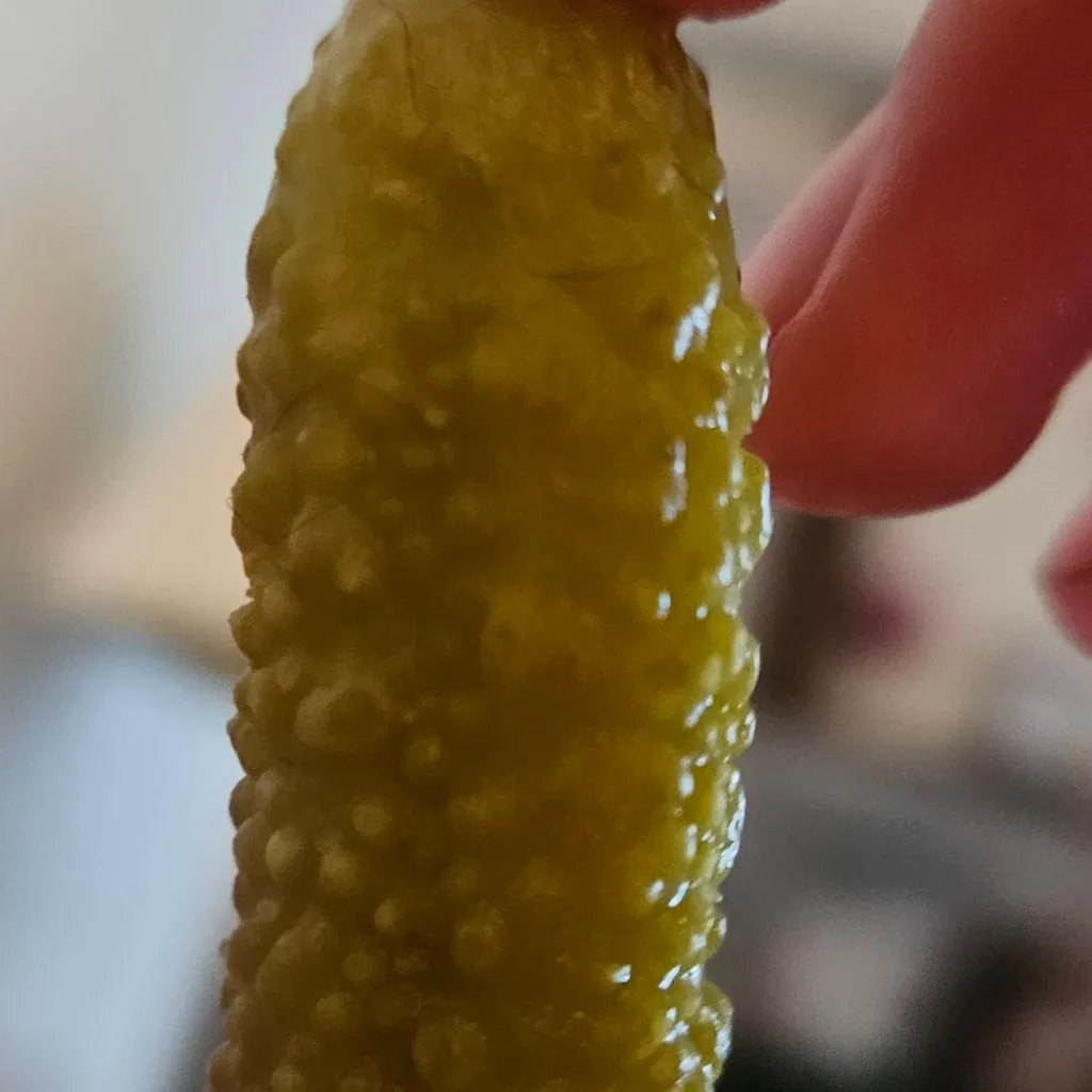 chat with ai character: ♡*~the PICKLE ~*♡