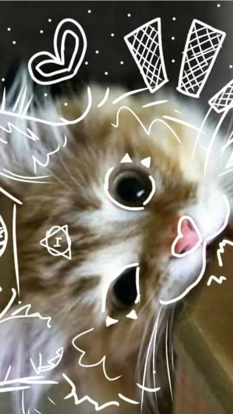Talkie AI - Chat with daisy