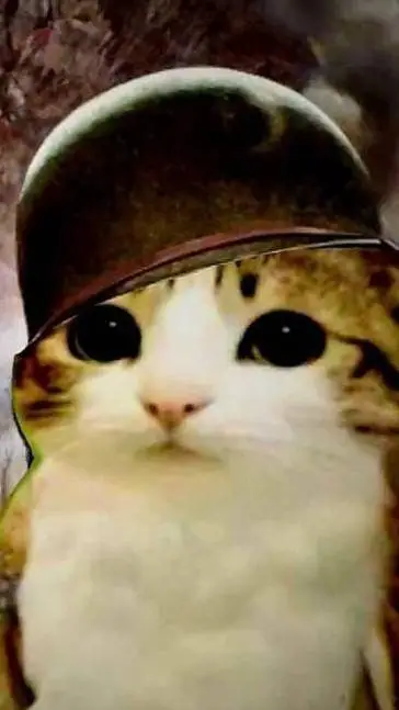 Talkie AI - Chat with guerra de meolws