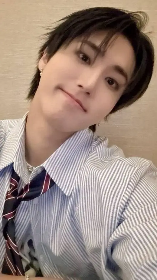 ai character: Han Jisung background