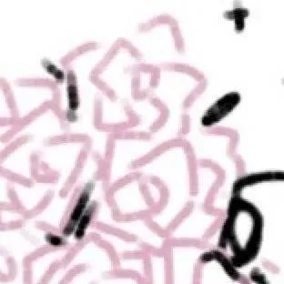 chat with ai character: mafioso x chance