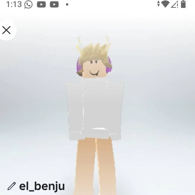 chat with ai character: ✅el benju✅