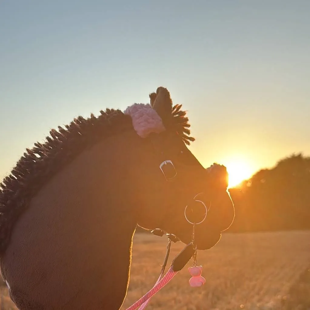 chat with ai character: Hobby horsing Team